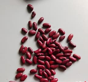 british red kidney beans